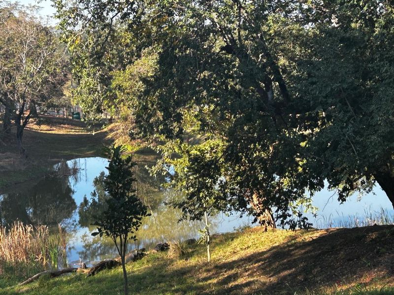 Countryside Living Meets Commercial Potential! - Photo 2