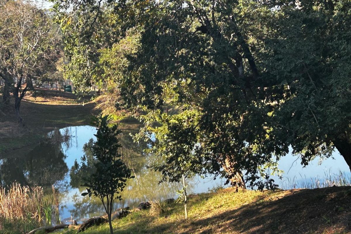 Countryside Living Meets Commercial Potential! - Photo 2