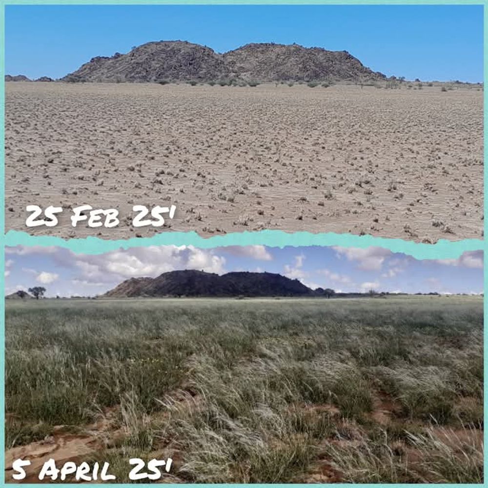 View of the field after the rain. 