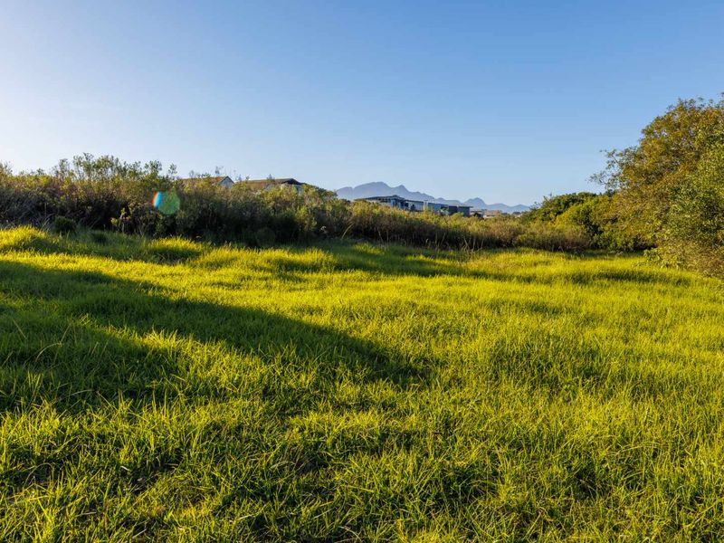 MOUNTAIN VIEW STAND IN QUIET CUL-DE-SAC IN OUBAAI GOLF ESTATE - Photo 5