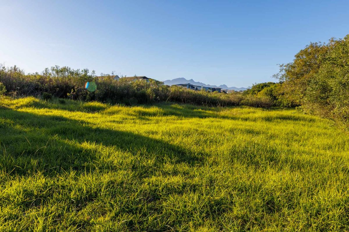 MOUNTAIN VIEW STAND IN QUIET CUL-DE-SAC IN OUBAAI GOLF ESTATE - Photo 5