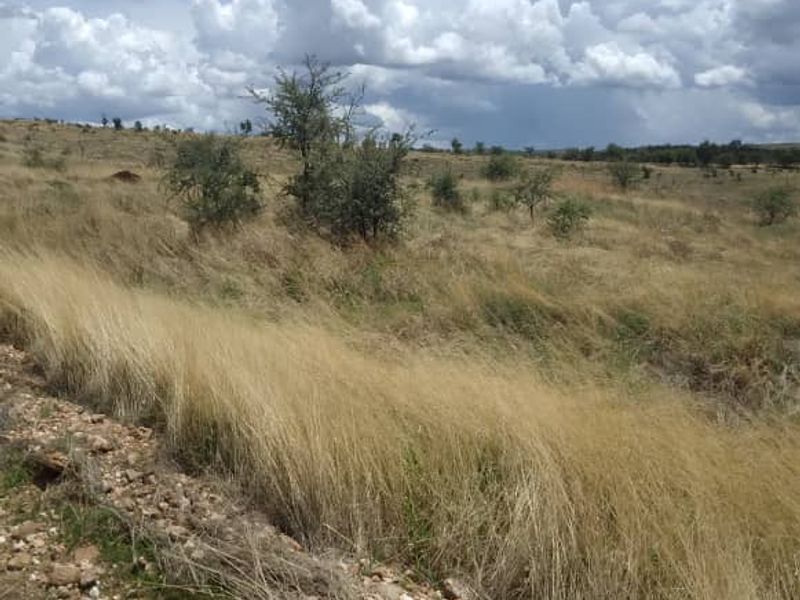 Nature Estate Near Windhoek – 21 Hectares of Pure Potential! - Photo 6