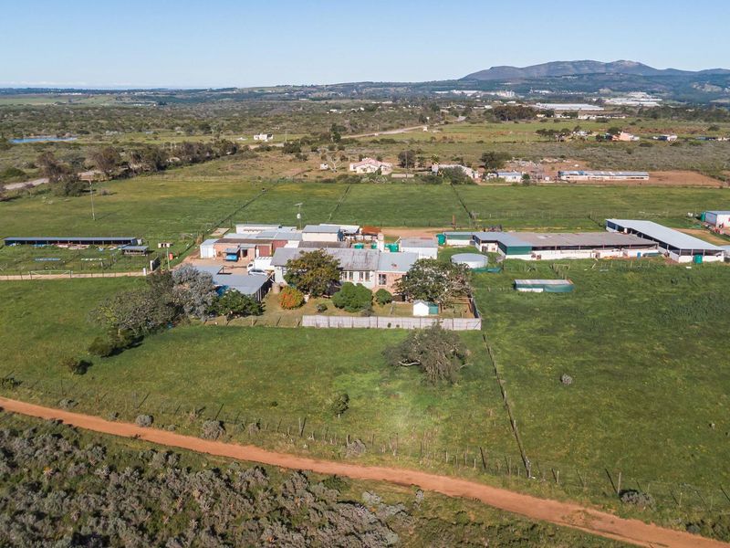 Open Realty Presents, Hillcrest Farm Abattoir – Uitenhage Area - Photo 8