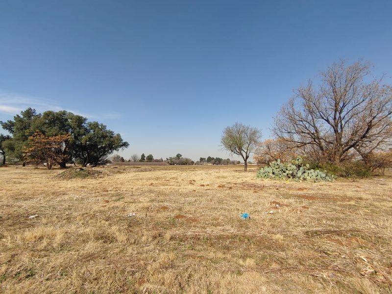 A wide-angle view of a vacant commercial land plot featuring dry grass, mature trees, and natural vegetation under a clear blue sky.