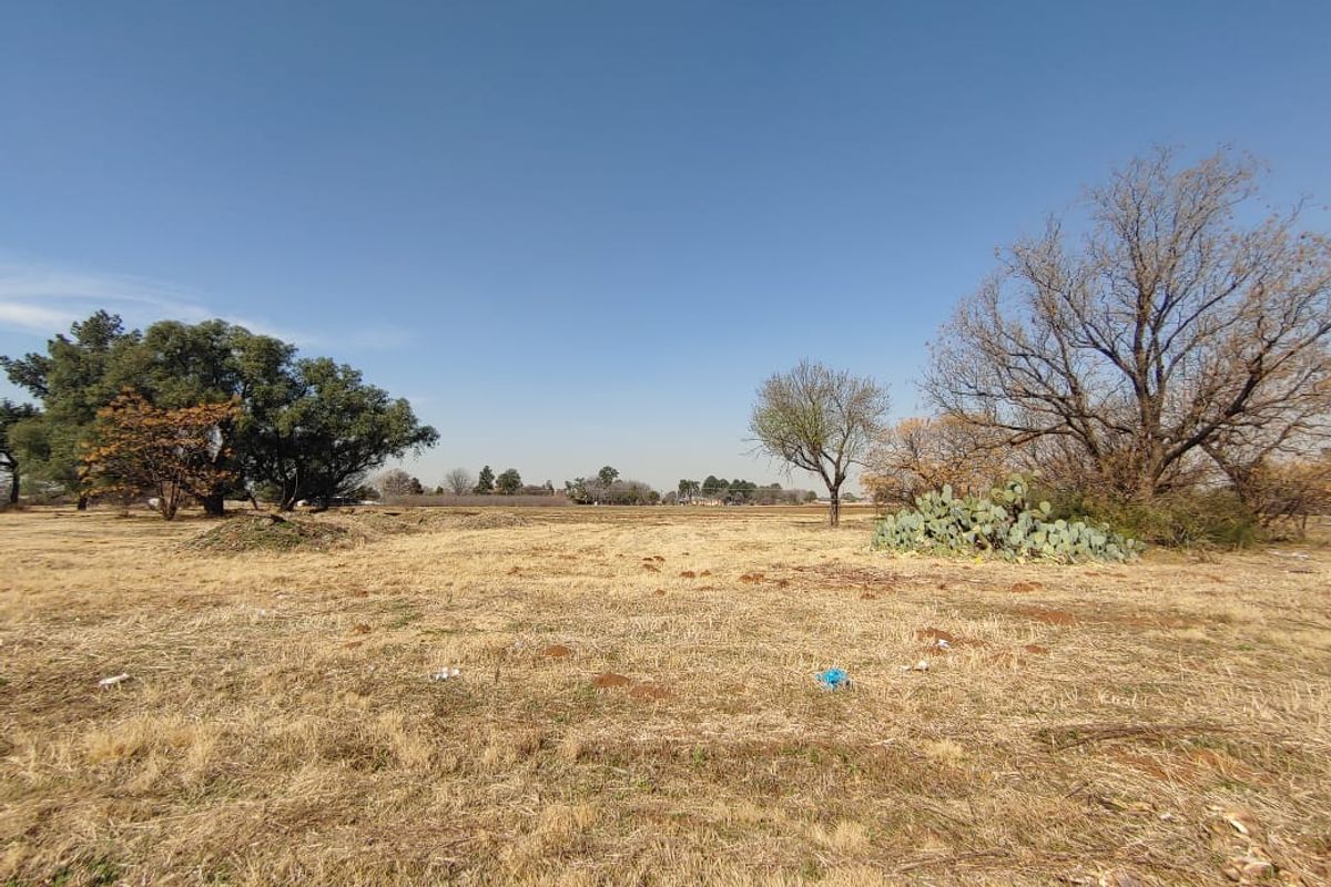 A wide-angle view of a vacant commercial land plot featuring dry grass, mature trees, and natural vegetation under a clear blue sky.