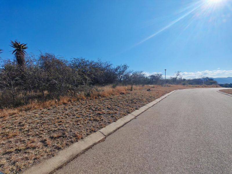 A view of the paved street and concrete curbing bordering the vacant residential land, featuring native vegetation and a street light.
