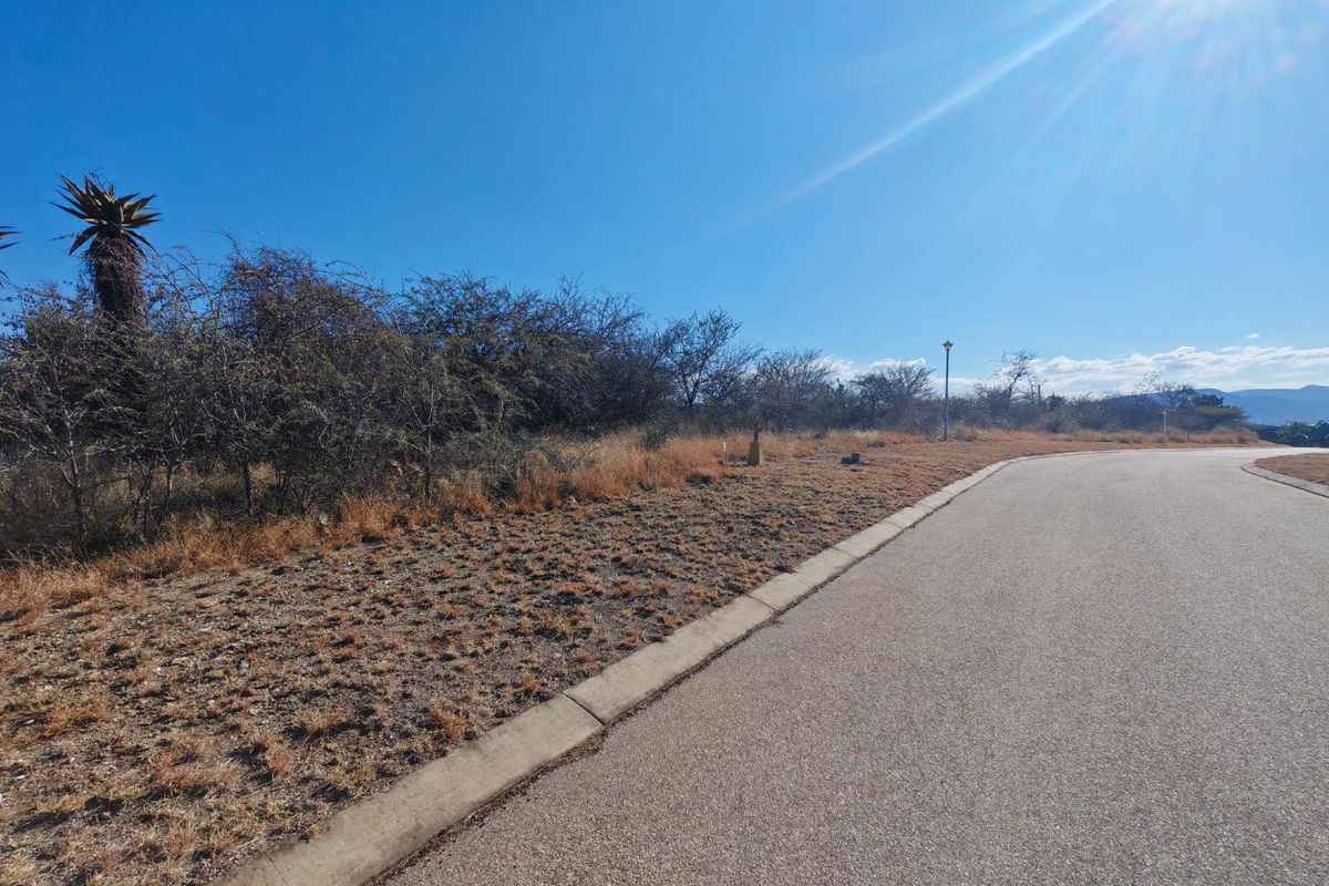 A view of the paved street and concrete curbing bordering the vacant residential land, featuring native vegetation and a street light.