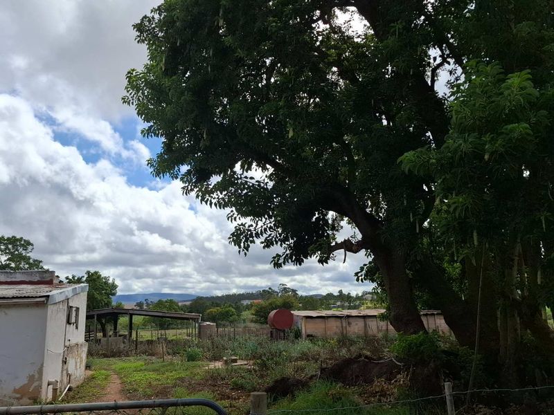 Versatile Property: From Farm to Function Venue! - Photo 9