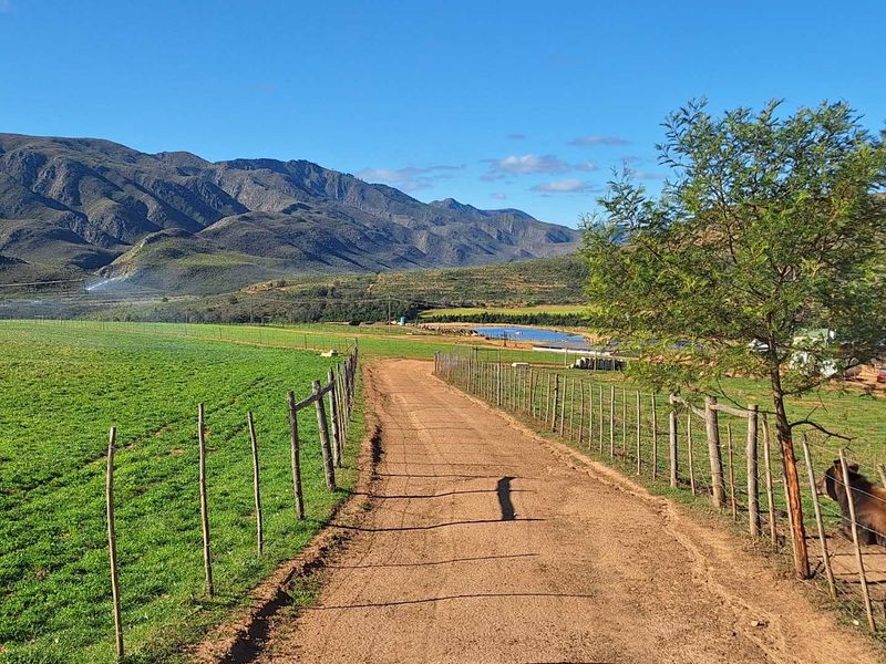 Water - Water - Water - Photo 5