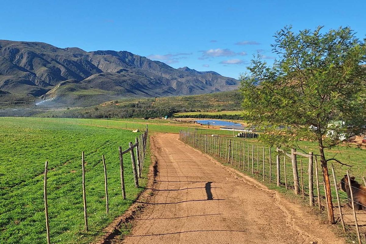 Water - Water - Water - Photo 5