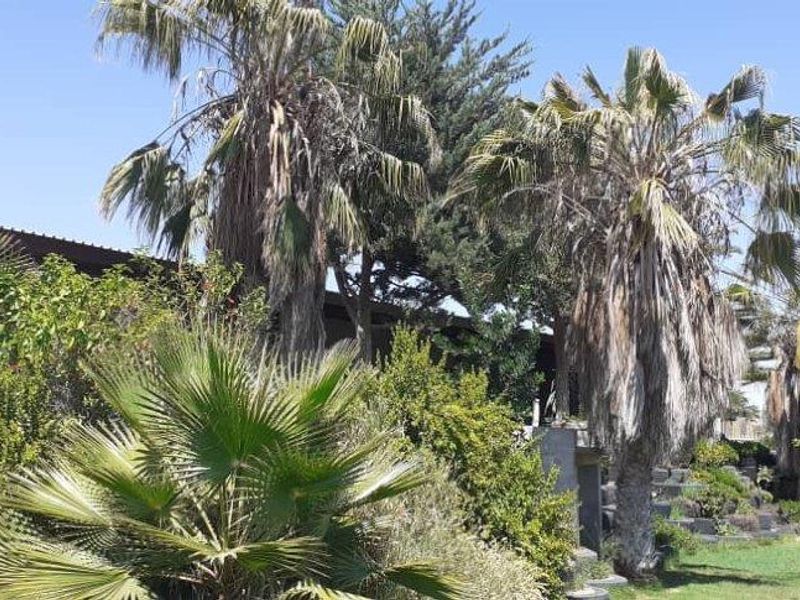 A view of the property exterior featuring mature palm trees, established garden landscaping, and a glimpse of the building structure.