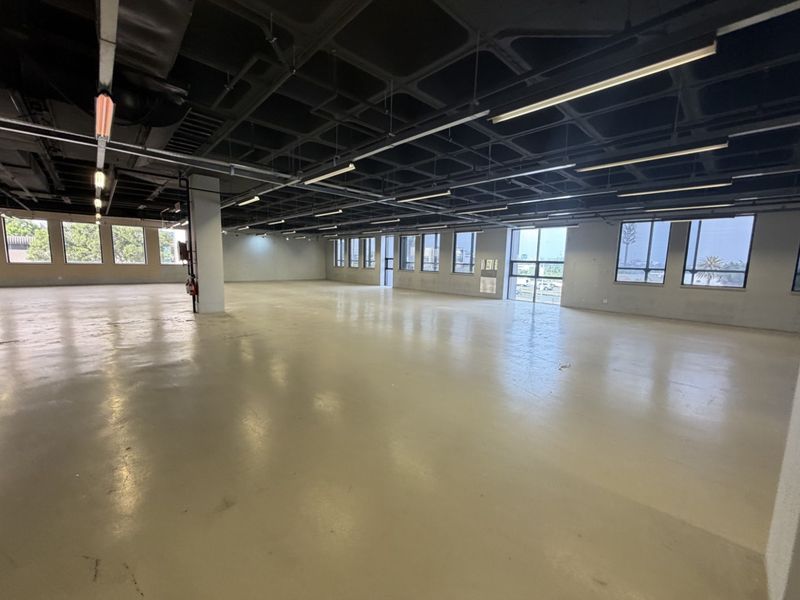 Spacious open-plan industrial office area featuring high exposed waffle slab ceilings, polished epoxy flooring, and abundant natural light from large windows.