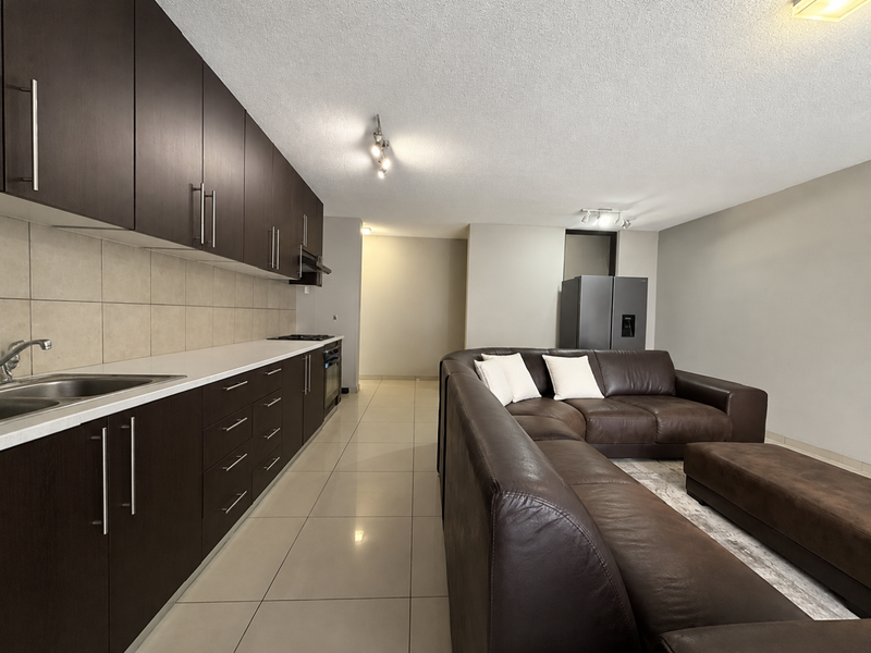 Open-plan living area featuring a modern kitchen with dark cabinetry, stone countertops, and integrated appliances, flowing into a spacious lounge area with tiled flooring.