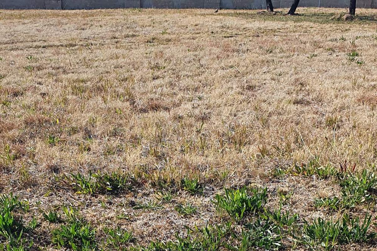 1005m2 Vacant Stand in Silverwood’s Country Estate - Photo 3