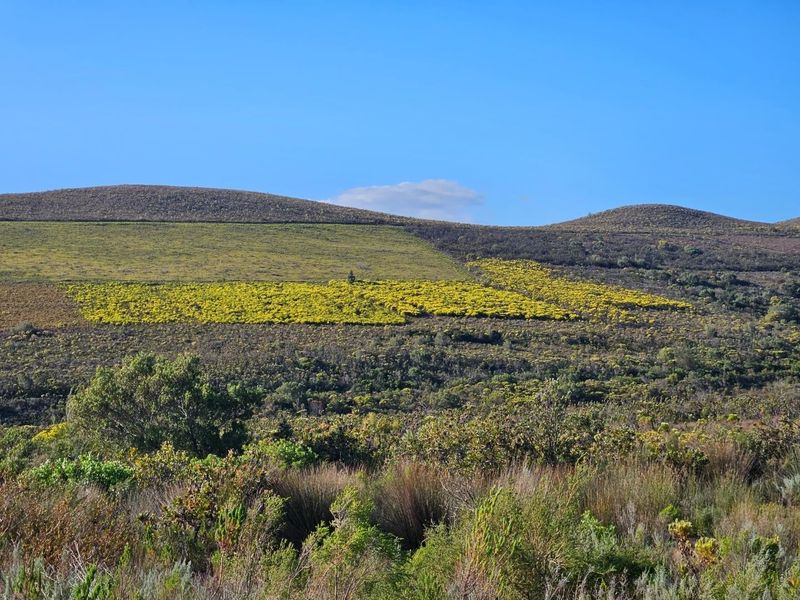 A Dream Come True - Photo 6