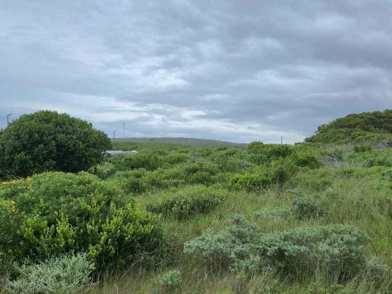 Mountain-View Stand in Popular Groenberg – Exceptional Coastal Investment - Photo 10