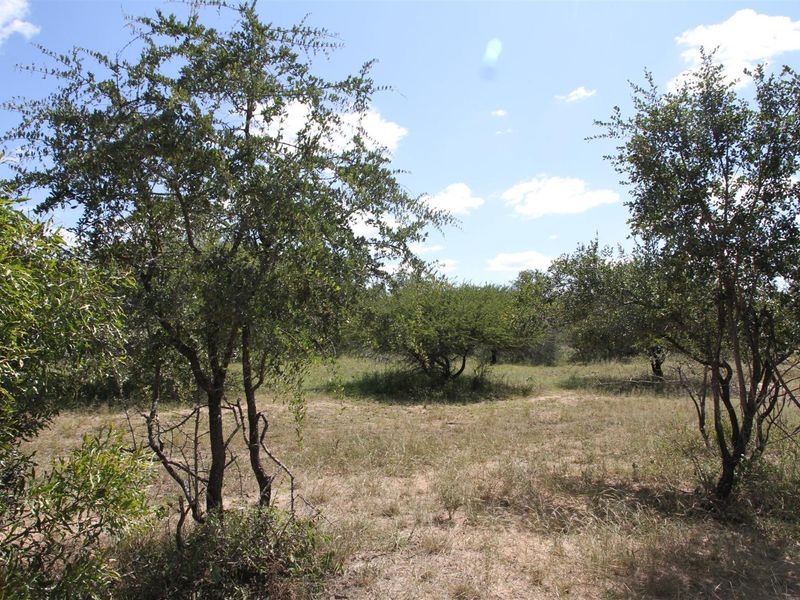 Vacant stand for Sale - Photo 7