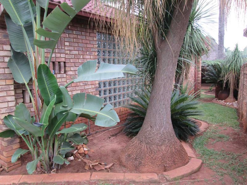 A 3 BEDROOM HOUSE TO RENT IN DOORNPOORT - Photo 2