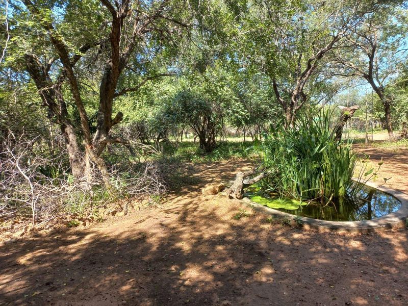 House walking distance from the river in Marloth park - Photo 3