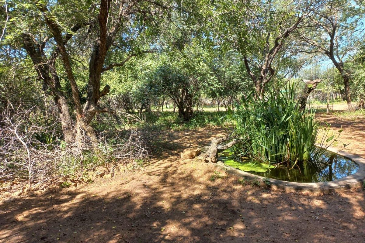 House walking distance from the river in Marloth park - Photo 3