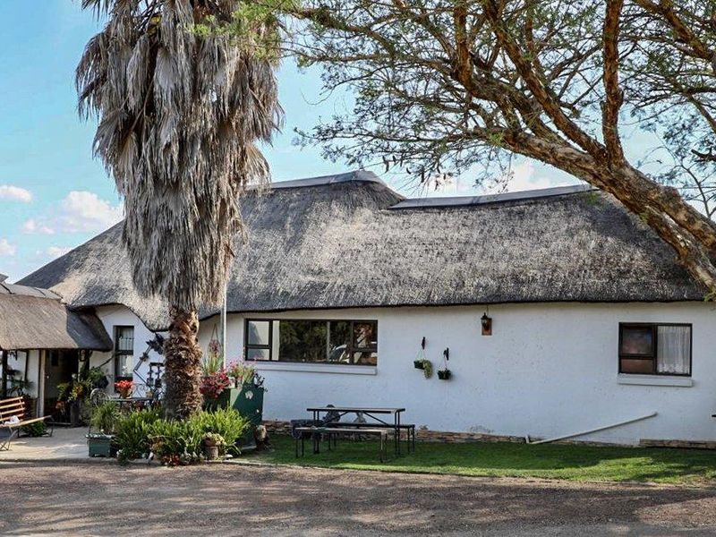 Self-Catering Business for Sale-Excellent Investment Opportunity - Photo 8