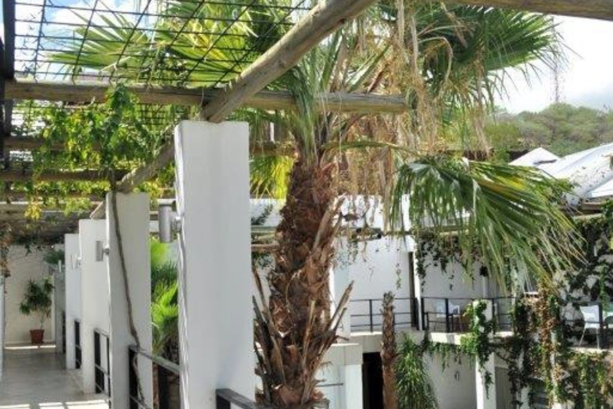 City-Center Guest House: Charm, Comfort, & Convenience Await! - Photo 4