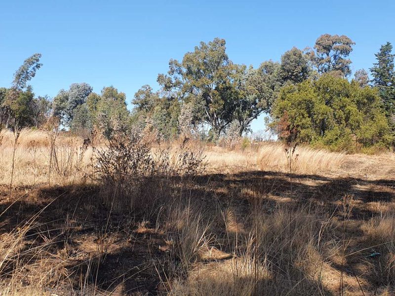 PRIME VACANT LAND IN RUIMSIG ! - Photo 4