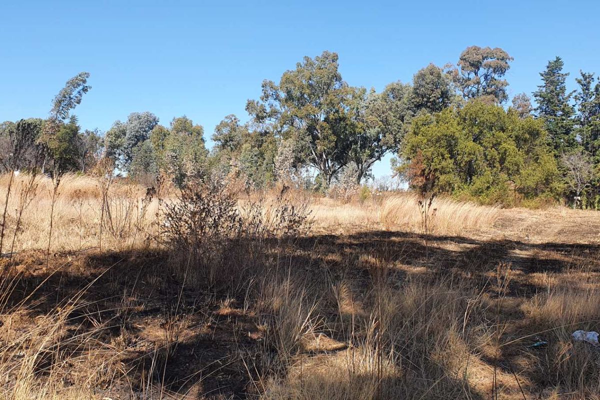 PRIME VACANT LAND IN RUIMSIG ! - Photo 5