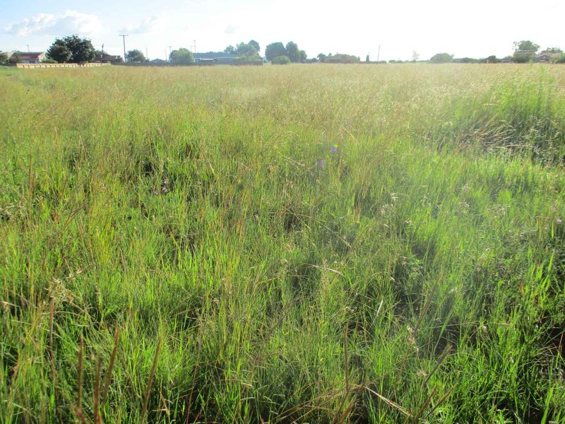 VACANT LAND IN HENLEY - Photo 3