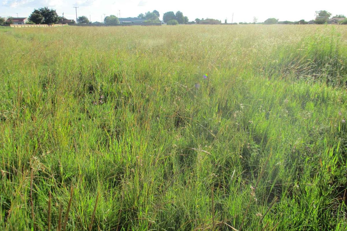 VACANT LAND IN HENLEY - Photo 3