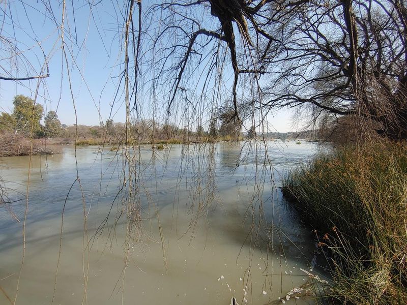 A scenic view of the river frontage featuring mature trees and natural vegetation along the banks of the agricultural land.