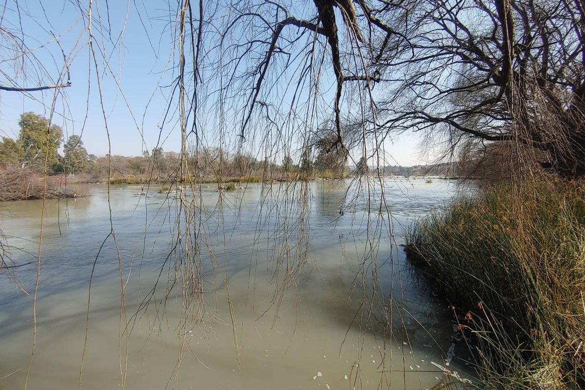 A scenic view of the river frontage featuring mature trees and natural vegetation along the banks of the agricultural land.