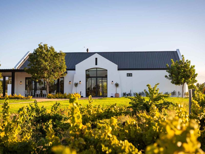 A Elegant Paarl Valleij Lifestyle Estate & Farm Home with Modern Comfort and Effortless Living - Photo 5