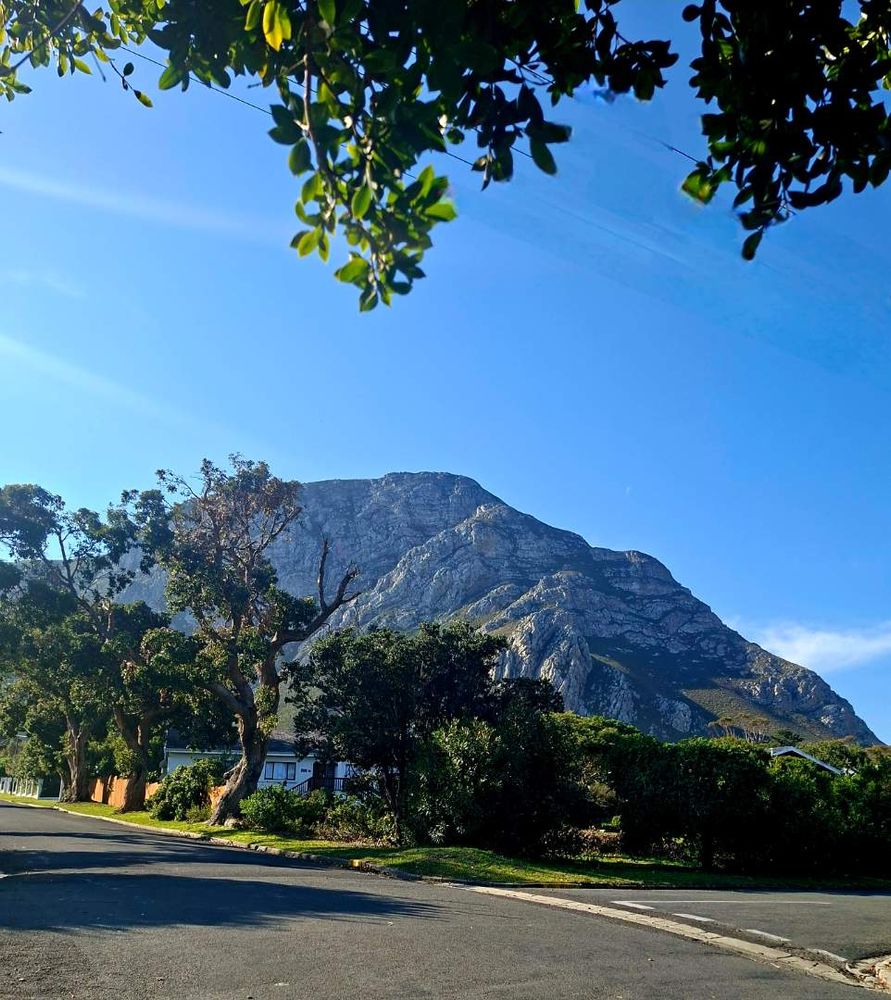 Mountain view