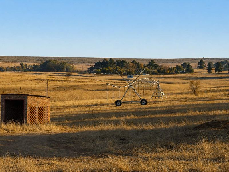 140 ha Farm with Mining Potential – 28 km from Witbank - Photo 4