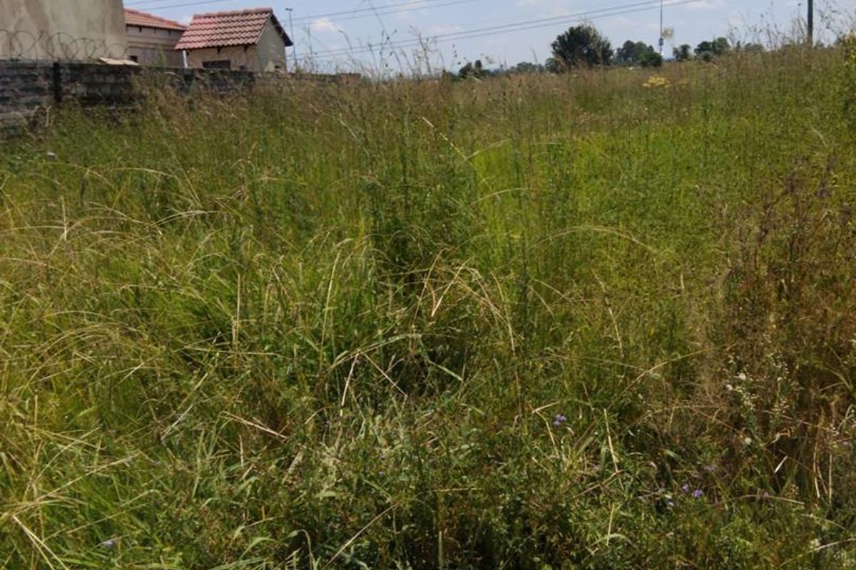 A vacant residential plot featuring overgrown grass, a perimeter wall, and access to utility infrastructure, ready for development.