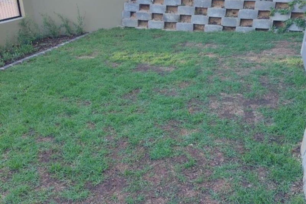 A private rear garden area featuring a retaining wall, perimeter boundary wall with electric fencing, and a lawn area requiring maintenance.