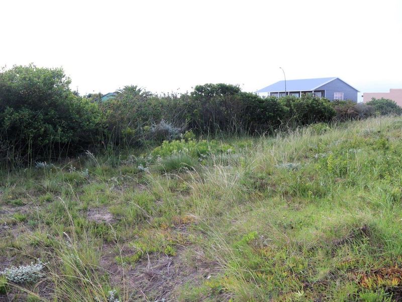 Investor's Dream: 10,839.52m2 Vacant Land for Sale! - Photo 6