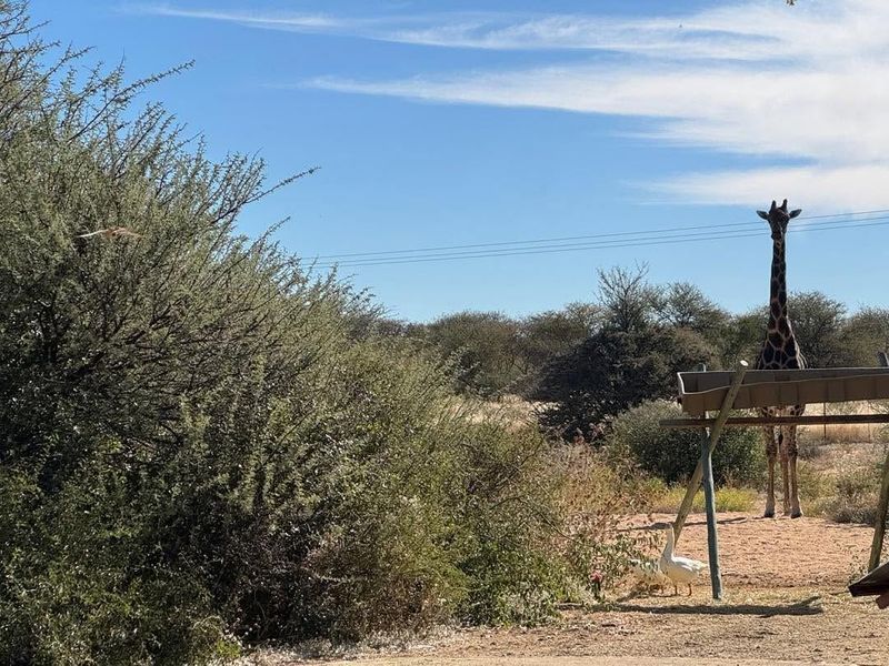 A scenic view of the small holding landscape featuring natural vegetation and local wildlife.
