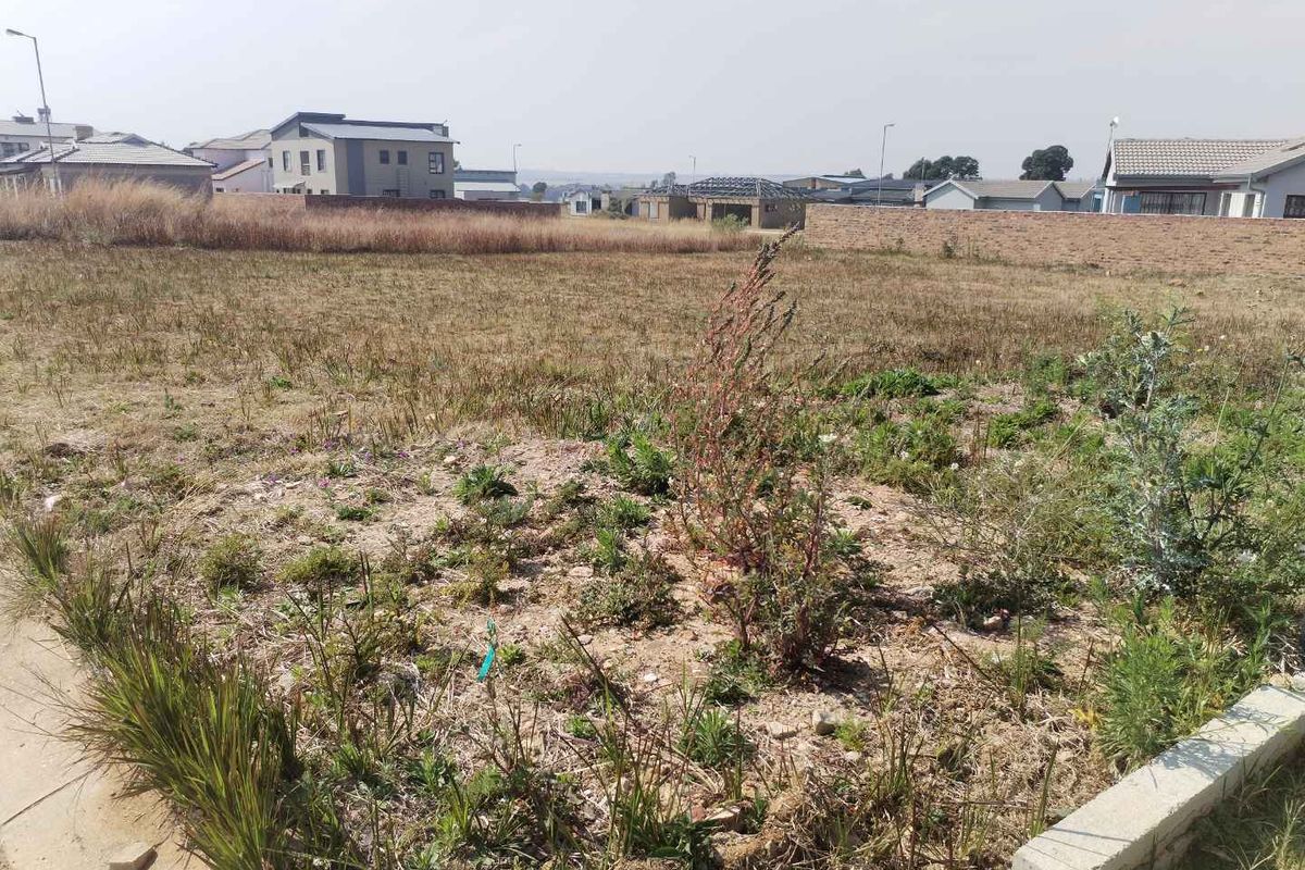 Expansive Stand in Stoneridge: Your Dream Home Awaits! - Photo 5