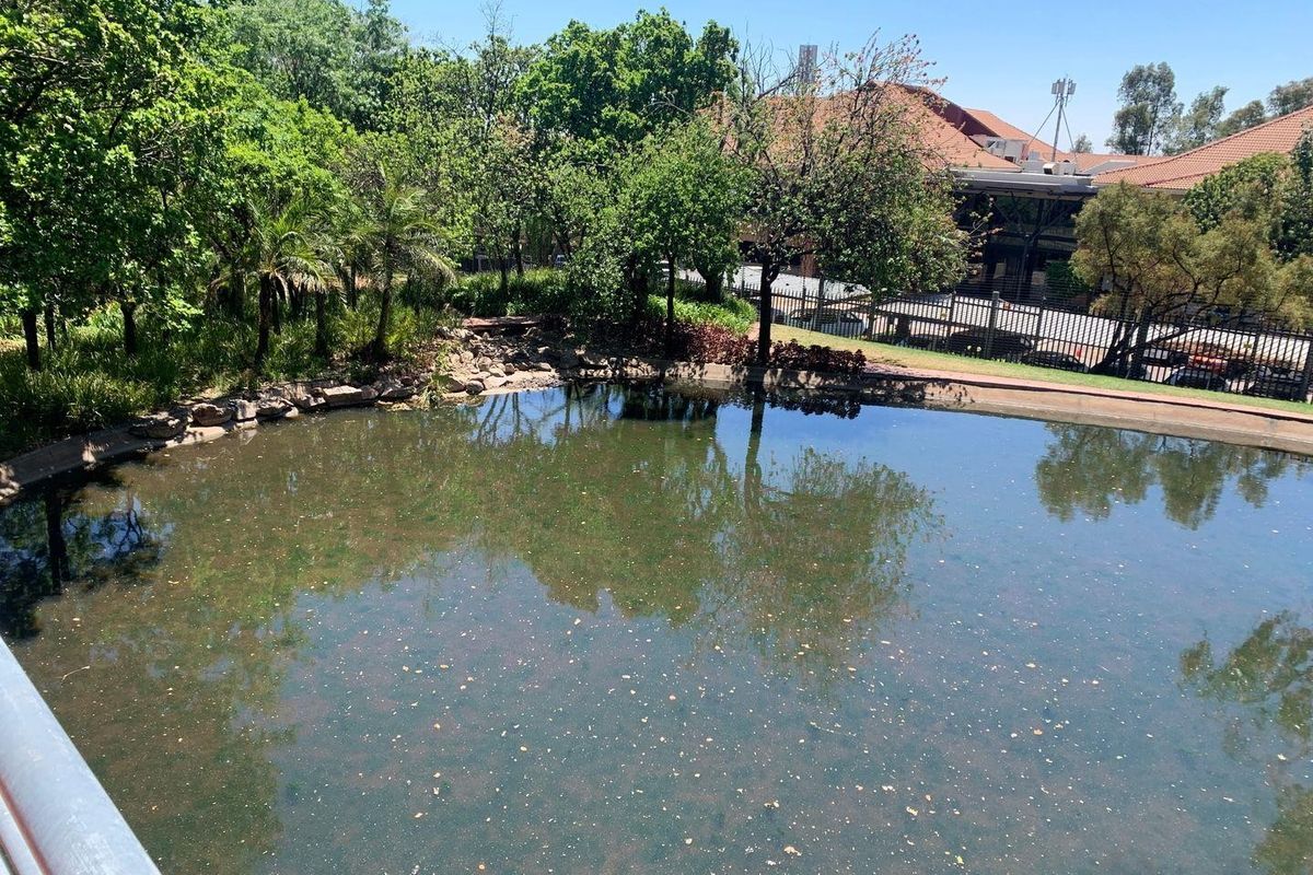 2 226m2 Woodmead Office To Let - Photo 5