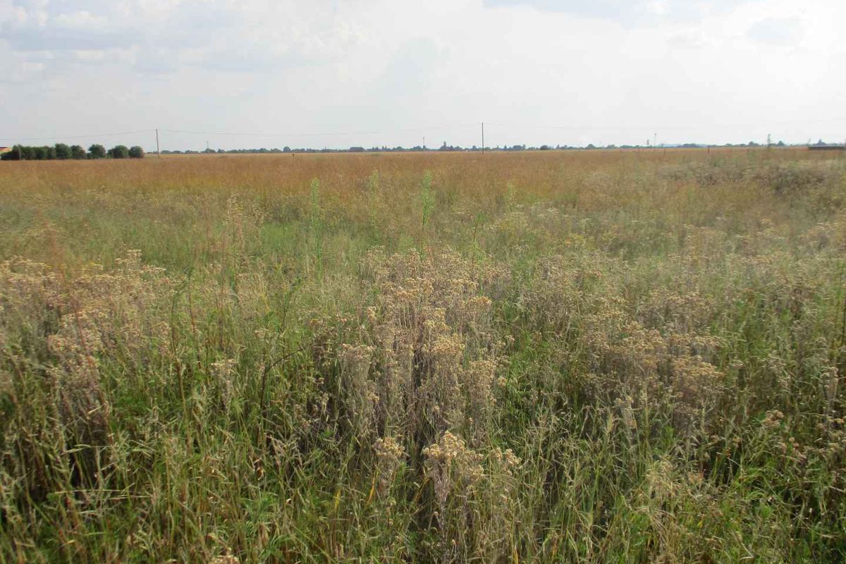 A wide, open expanse of vacant residential land featuring natural grassland and clear horizon views.