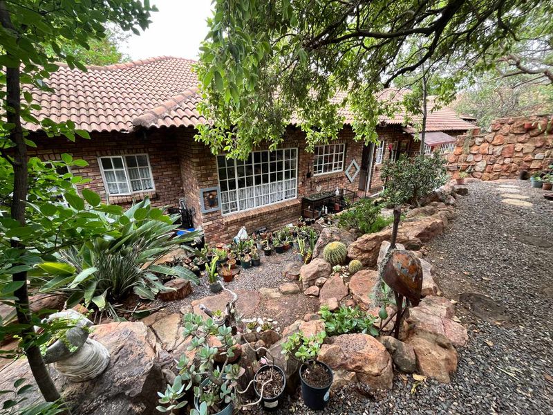 Close to nature in the city! - Photo 4