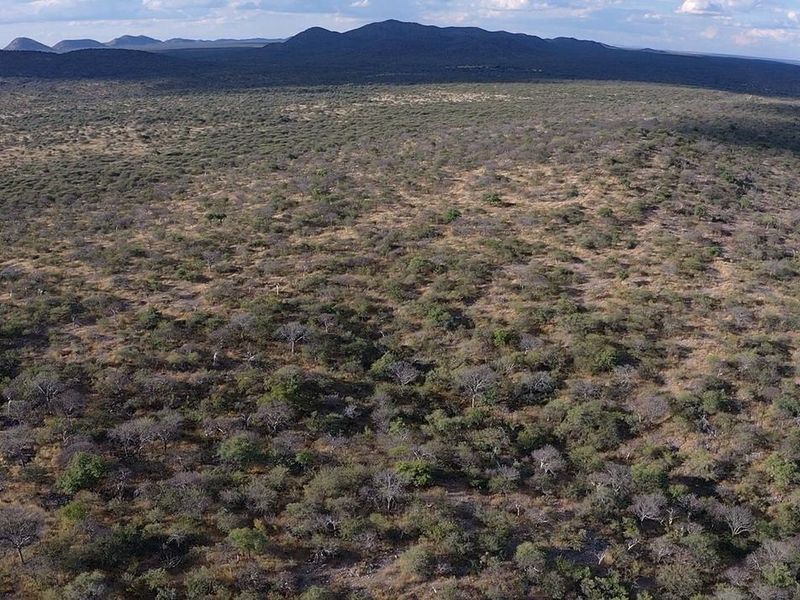 Outjo, 701 Ha Smallholding is for Sale - Photo 2