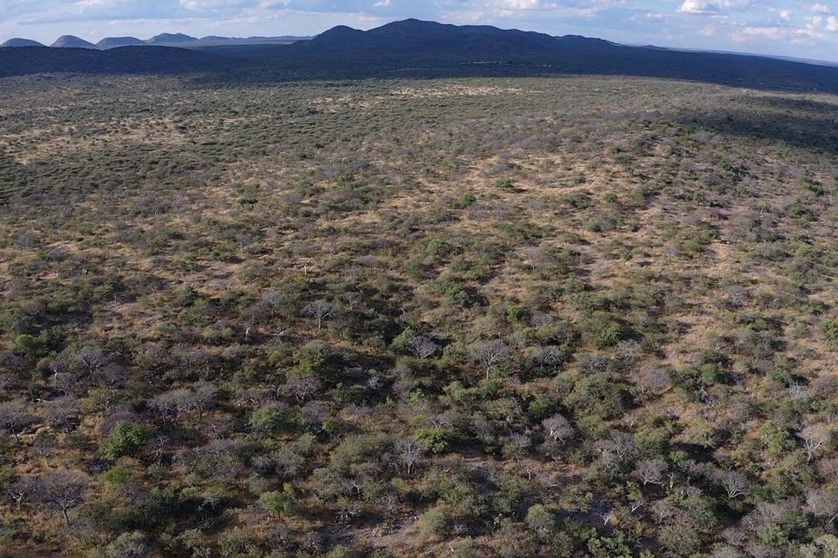 Outjo, 701 Ha Smallholding is for Sale - Photo 2