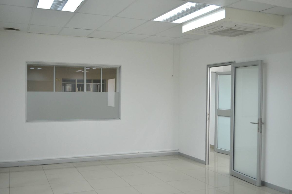 A clean, vacant office space featuring neutral ceramic tiling, suspended ceilings with integrated lighting, and modern aluminium-framed glass partitioning.