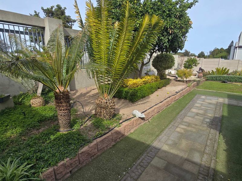 A well-maintained garden featuring a stone paved walkway, artificial turf, established cycad plants, and a secure perimeter wall with metal fencing.