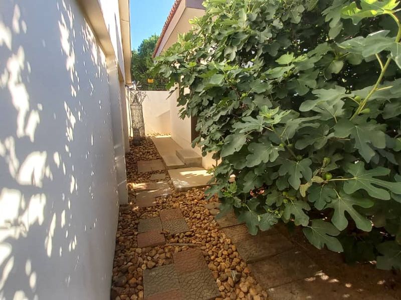 A narrow side passage featuring pebble landscaping, paved stepping stones, and a boundary wall alongside mature greenery.