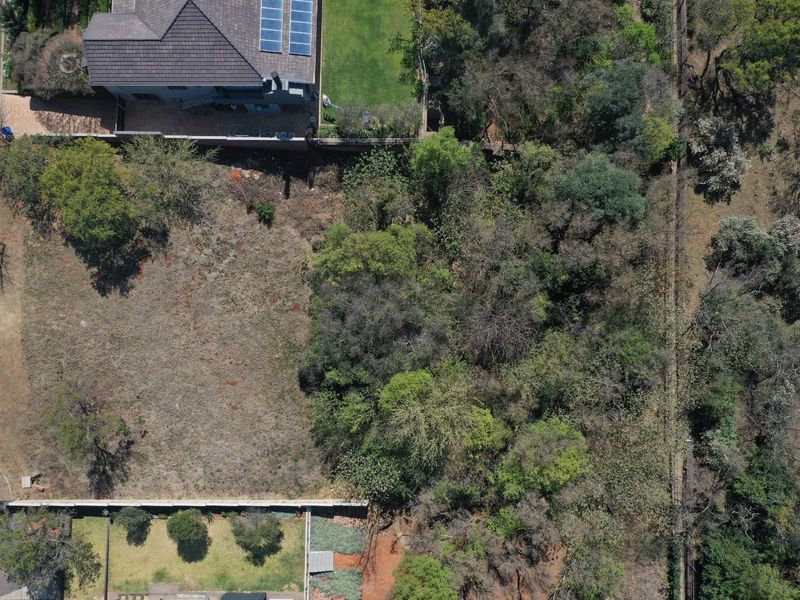 Aerial view of a vacant residential plot featuring established trees and boundary fencing, offering a clear perspective of the land's layout and surroundings.