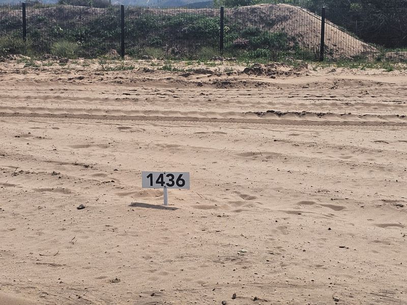 Luxury Living Awaits at Klipheuwel Estate - Photo 10